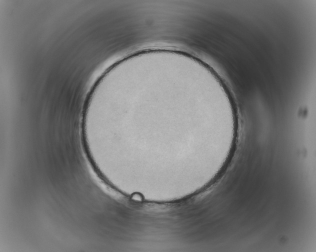 X0000112721237200910011124