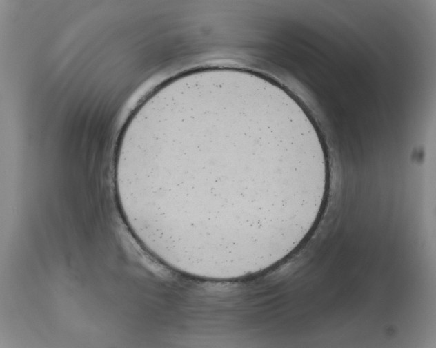 X0000112721240200910011124