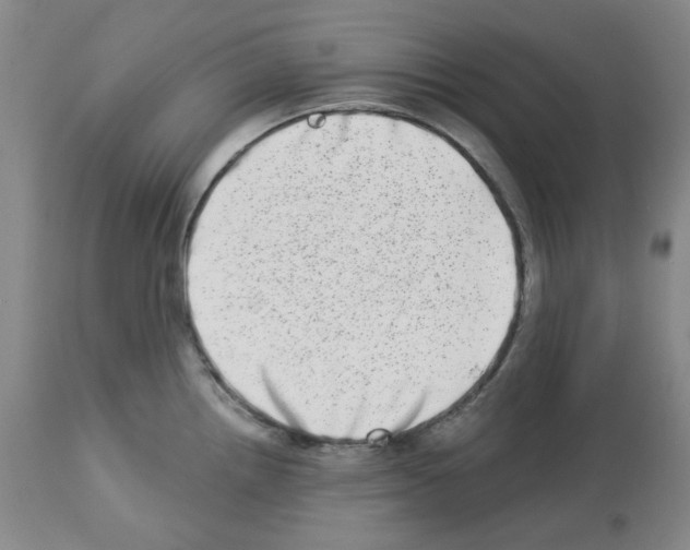 X0000112721242200910011124