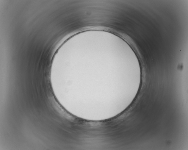 X0000112721244200910011124