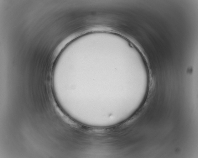 X0000112721245200910011124