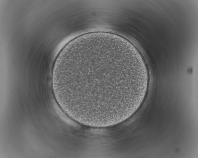 X0000112721246200910011124