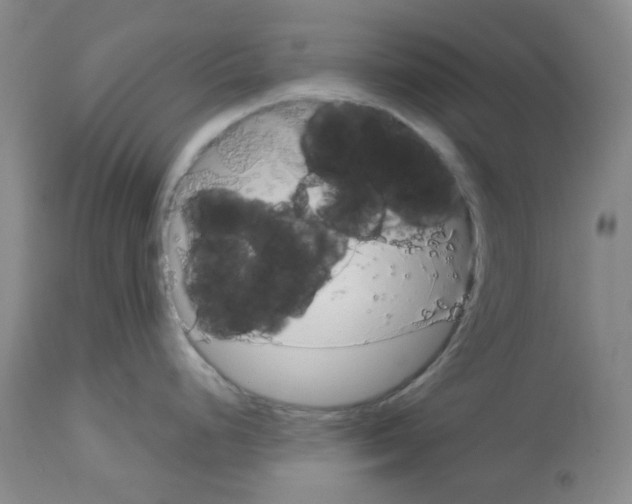 X0000112721248200910011124