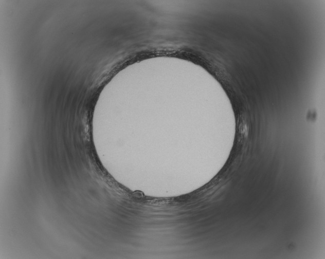 X0000112721252200910011124