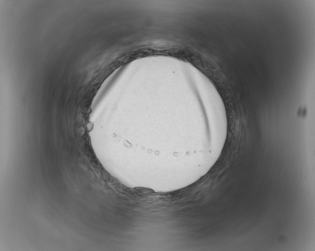 X0000112721253200910011124