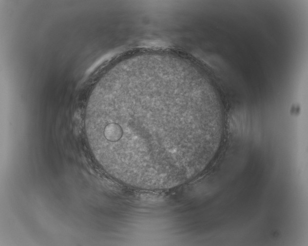 X0000112721254200910011123