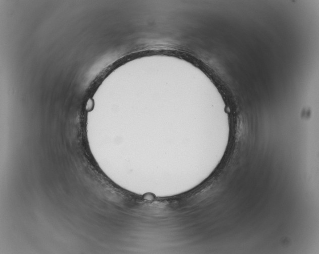 X0000112721261200910011123