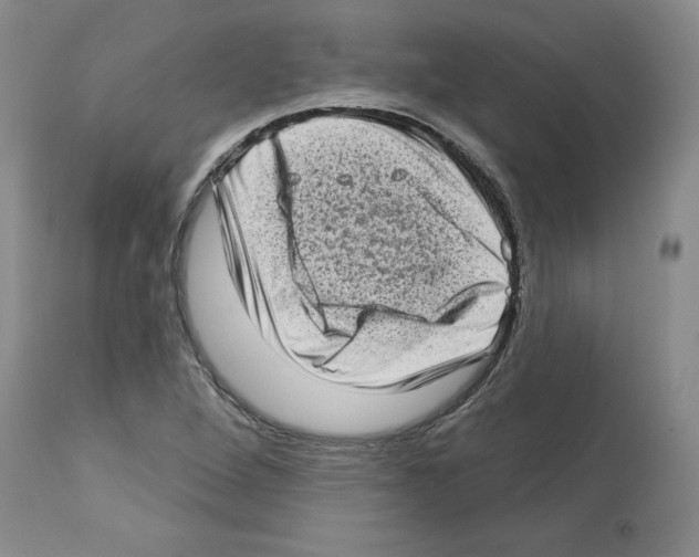 X0000112721264200910011123