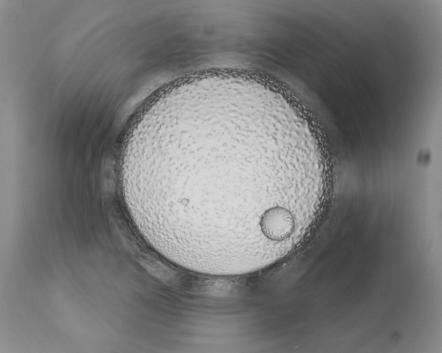 X0000112721266200910011123