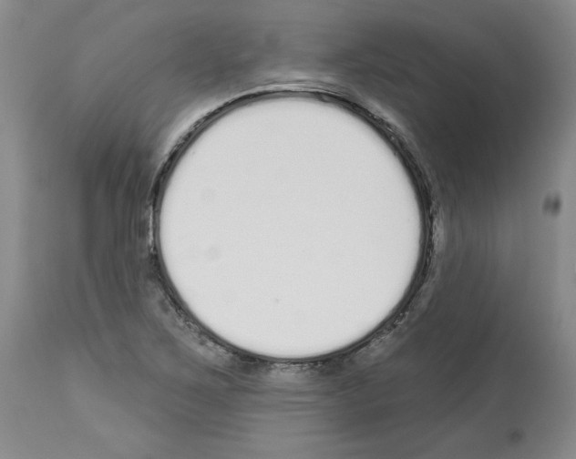 X0000112721267200910011123