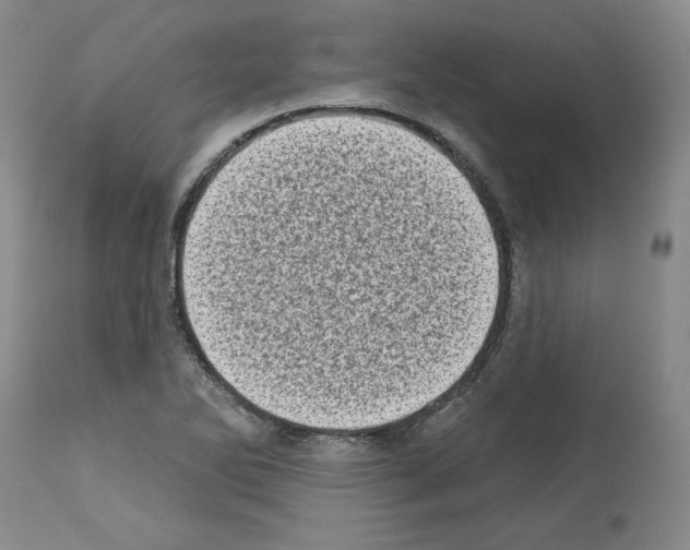 X0000112721270200910011123