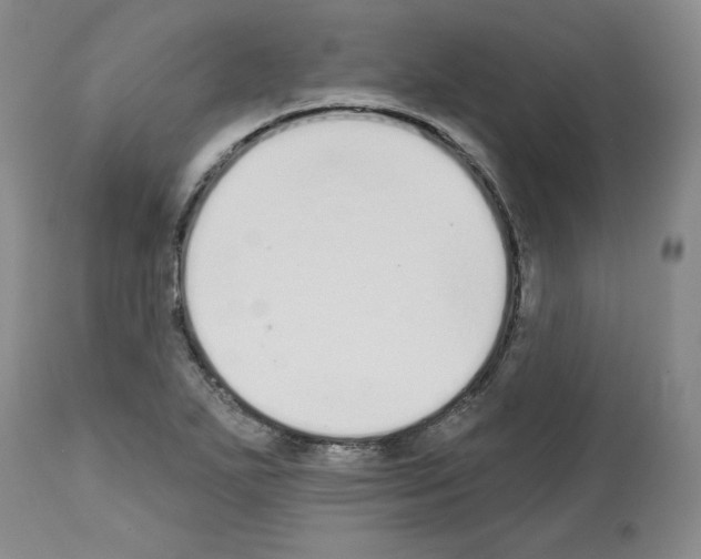 X0000112721271200910011123