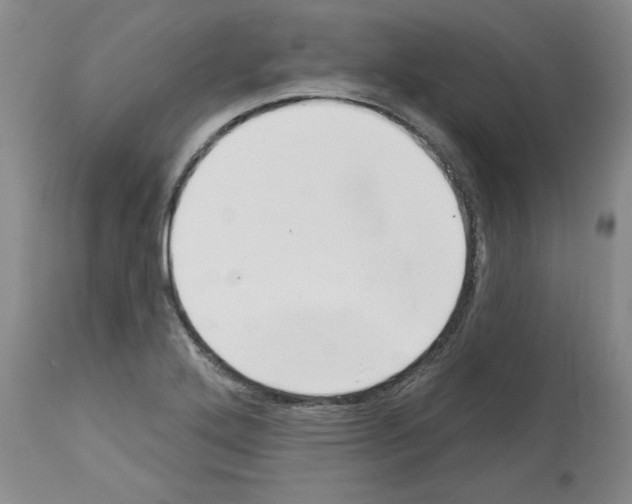 X0000112721272200910011123