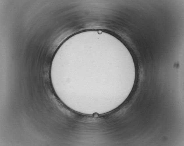 X0000112721273200910011123