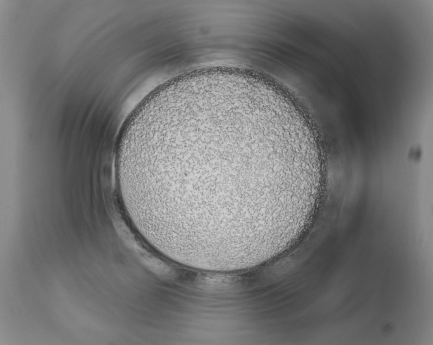 X0000112721274200910011123