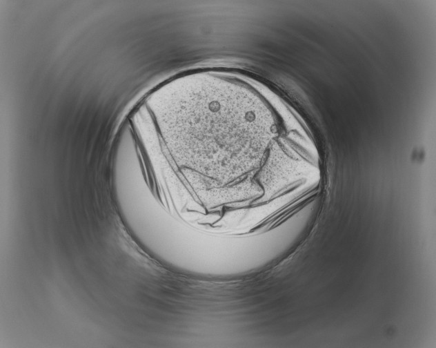 X0000112721276200910011123