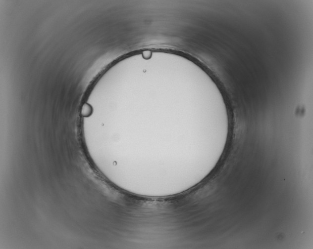 X0000112721277200910011123