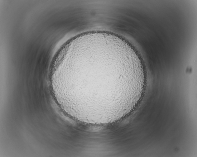 X0000112721278200910011123