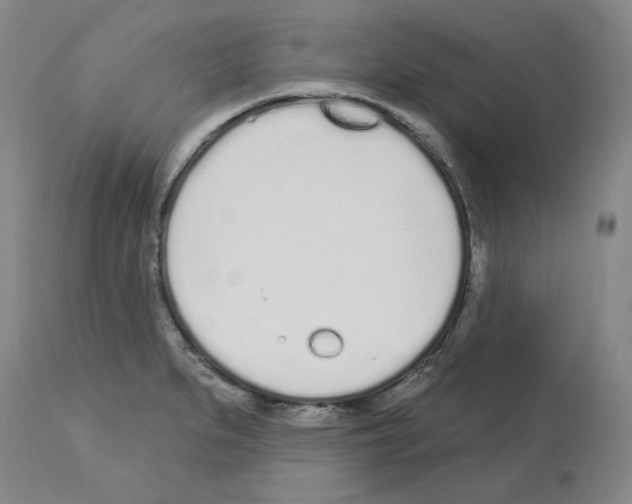 X0000112721279200910011123