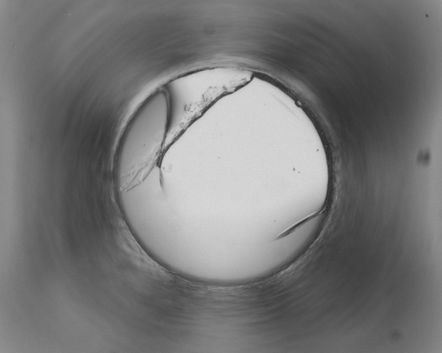 X0000112721280200910011123