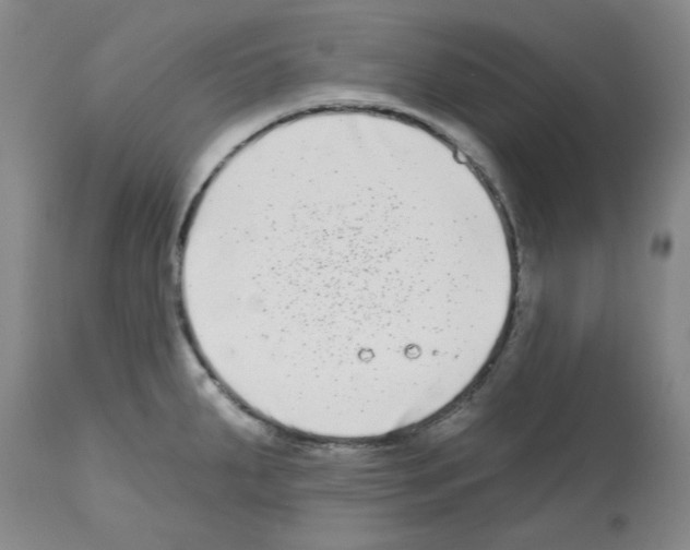 X0000112721287200910011123