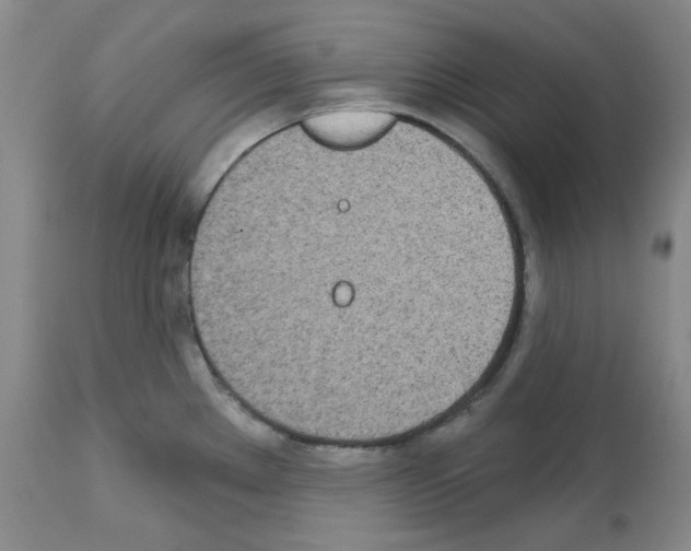 X0000112721289200910011123