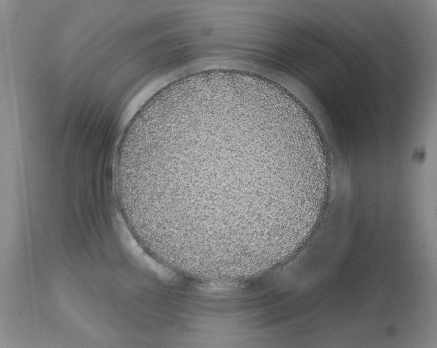 X0000112721290200910011123