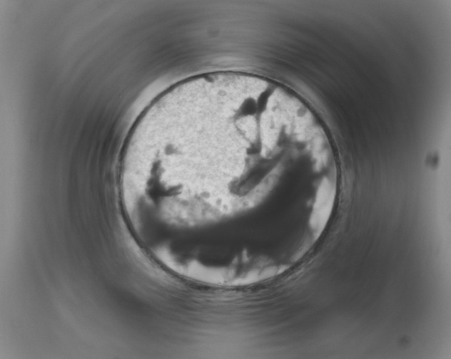 X0000112721291200910011123