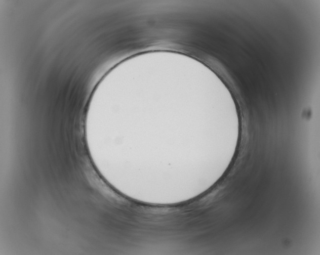 X0000112721292200910011123