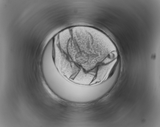 X0000112721293200910011123