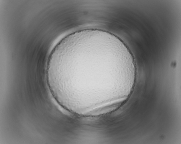 X0000112721294200910011123