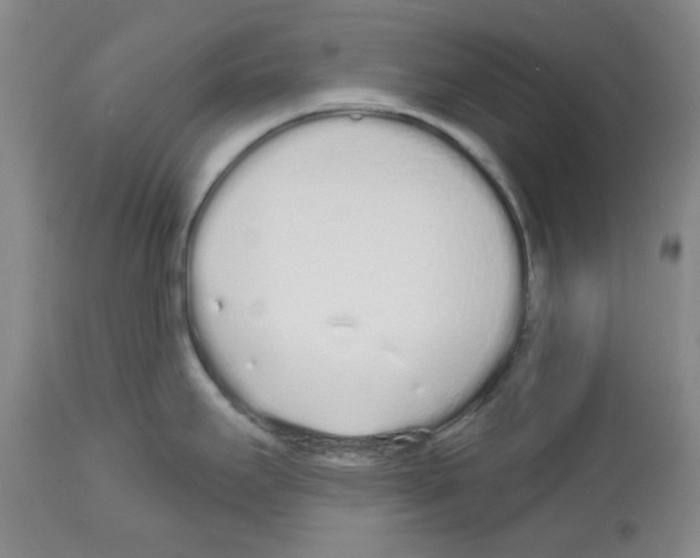 X0000112721295200910011123