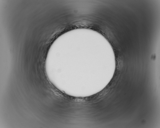 X0000112721297200910011122