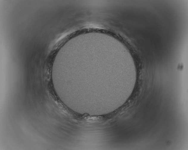 X0000112721303200910011122