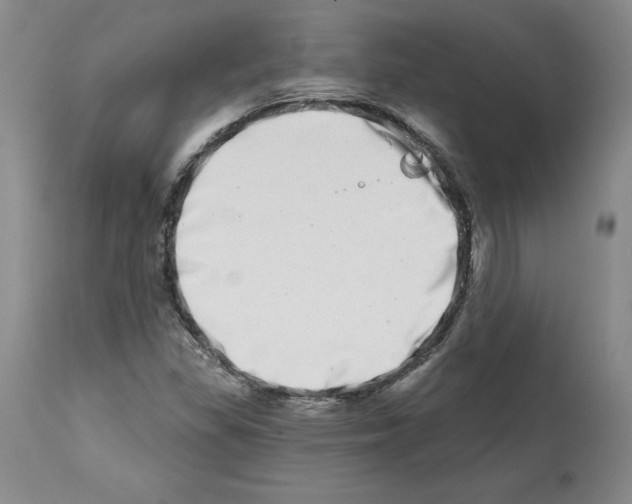 X0000112721309200910011122