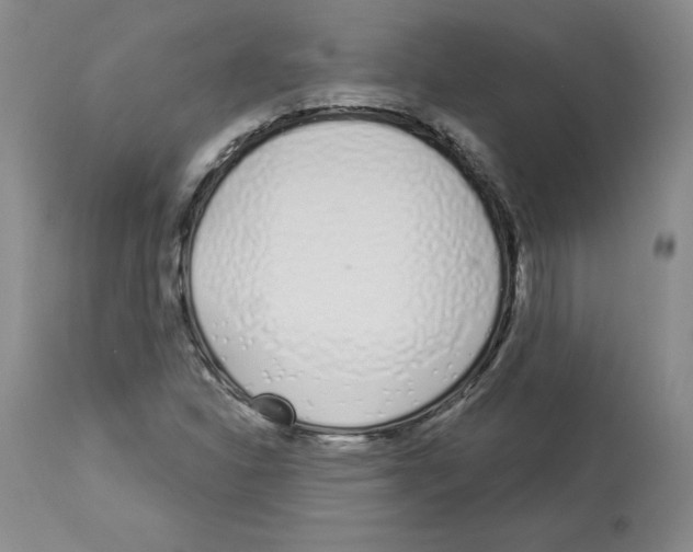 X0000112721310200910011122