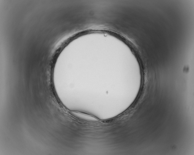 X0000112721311200910011122