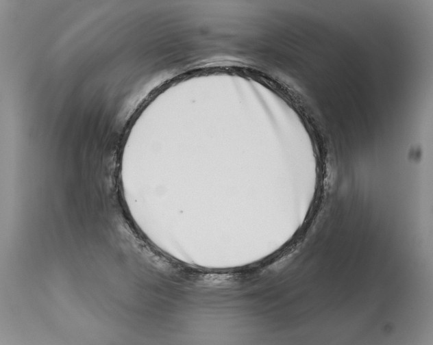 X0000112721313200910011122