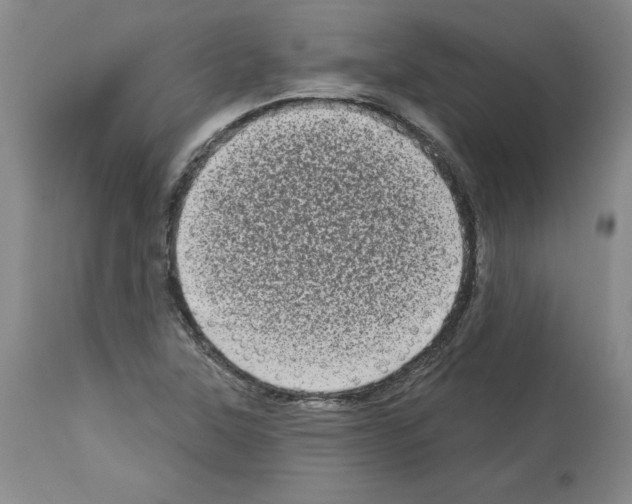 X0000112721315200910011122