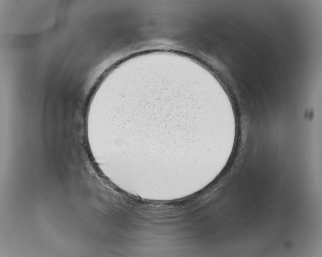 X0000112721318200910011122