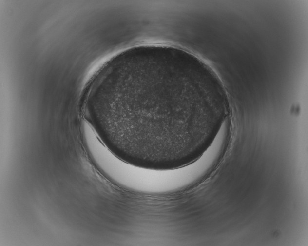 X0000112721319200910011122