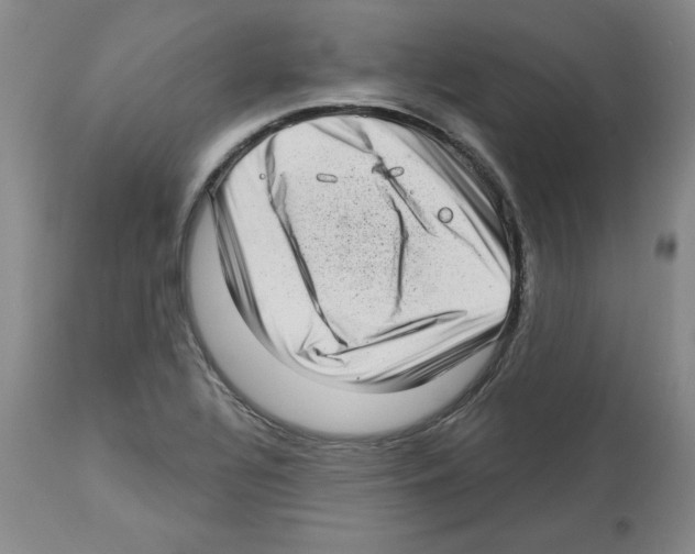 X0000112721320200910011122