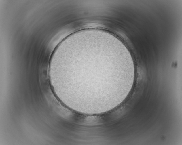 X0000112721322200910011122