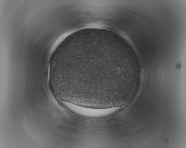 X0000112721323200910011122