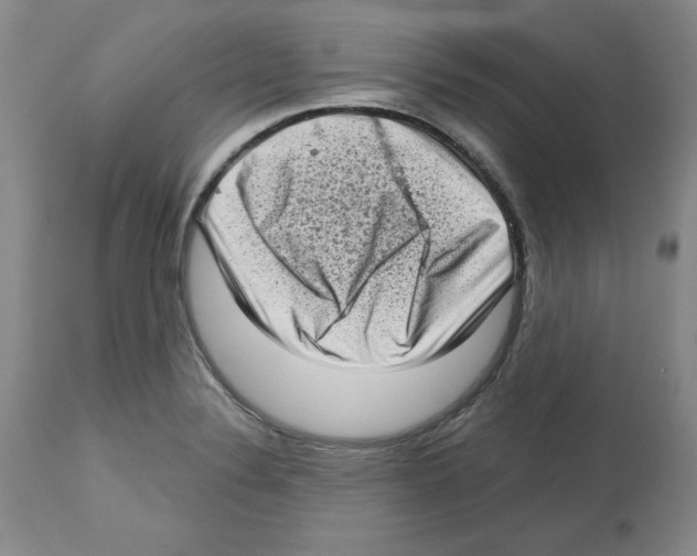 X0000112721324200910011122