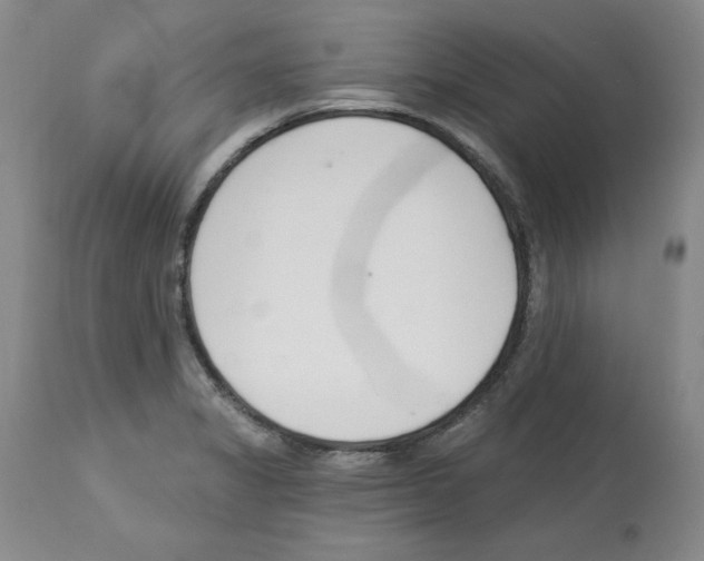 X0000112721325200910011122