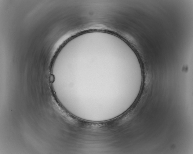 X0000112721326200910011122