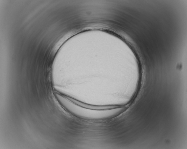 X0000112721329200910011123