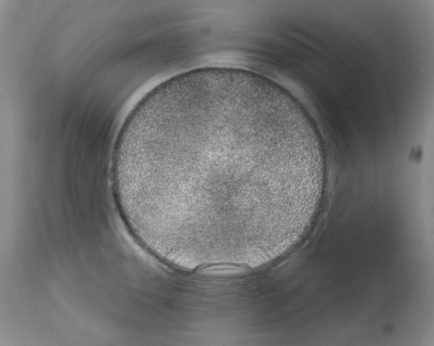 X0000112721331200910011123