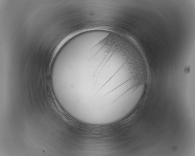 X0000112721332200910011123